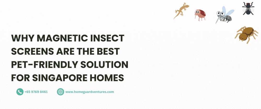 Why Magnetic Insect Screens Are the Best Pet-Friendly Solution for Singapore Homes